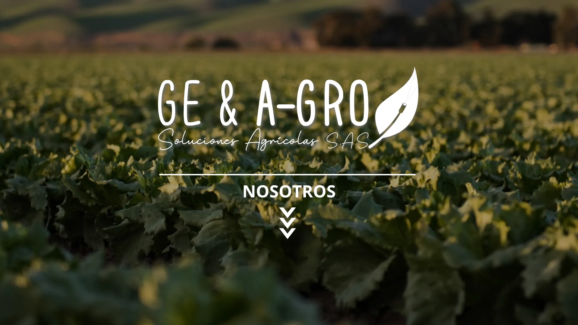Nosotros_Agro